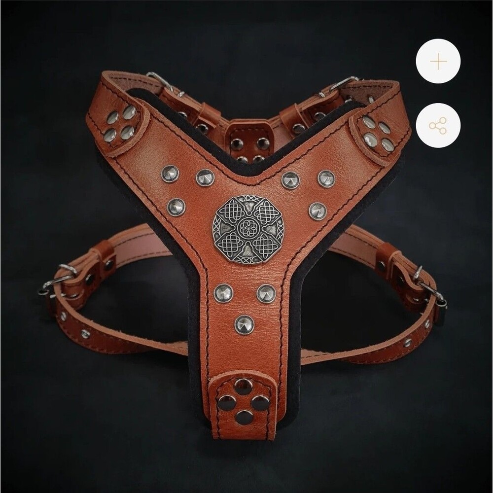 BESTIA The ''Maximus'' Dog Collar Harness Genuine Leather Brown Silver S-M EUC *